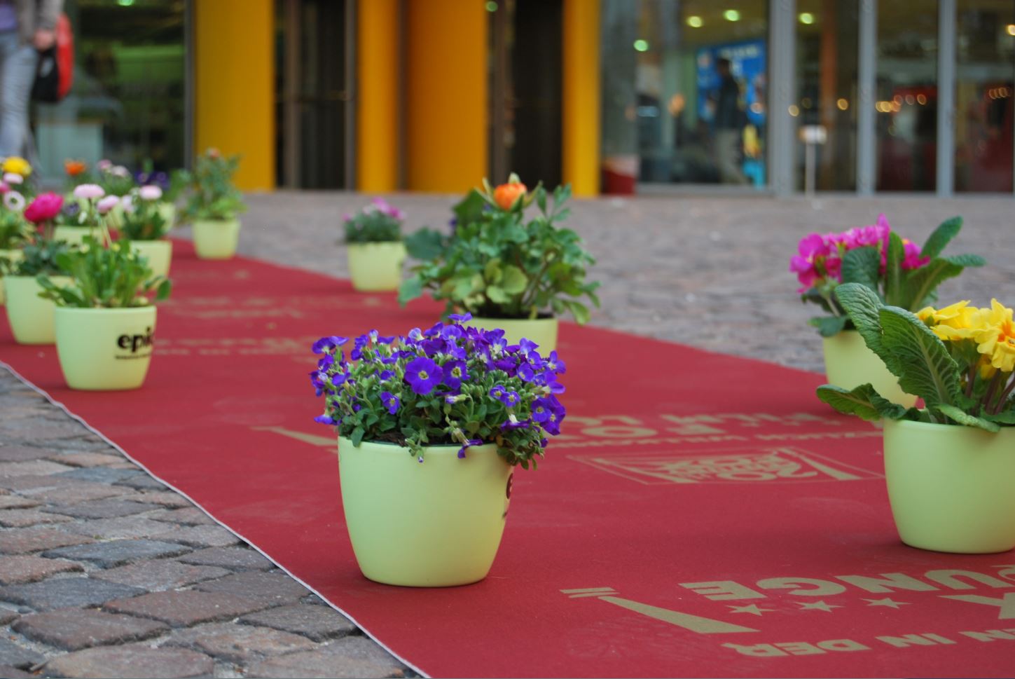 Printed red runner carpet laid across a cobbled pedestrian street, lined with flower pots